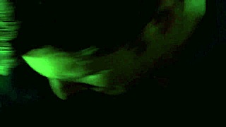 muscular bodybuilder lesbians squirt in hulk 2003 scene