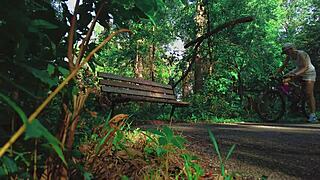 Blonde couple finds intense release in a quiet forest setting.