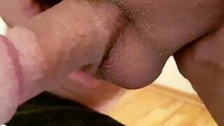 Amateurs tribute cumshot on cock for elpapi219