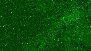 golden shower for teen girl in pissed jeans