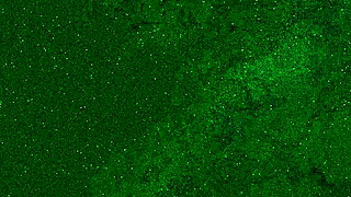 golden shower for teen girl in pissed jeans