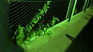 I Gave A Stranger Some Tight Latina Pussy Riding His Monster Cock In Public!