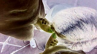 Sharing my curvy wife with big cocks for cum on tits 😈