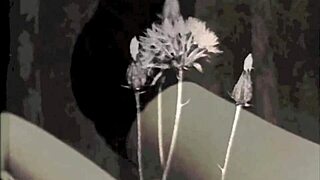 Discover vintage hairy pussy in the age of steam