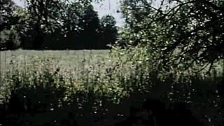 Have You Seen This Vintage Pussy and Hairy Beaver Outdoor?