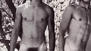 What Are These Twinks Doing With Adlene?