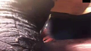 Fat Mature Woman Masturbates and Shows Her Ass on Cam. She Uses a Dildo in Her Vagina for Pleasure.