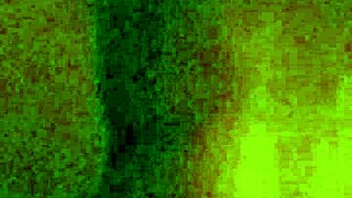 New bitch gets wet pussy fucked