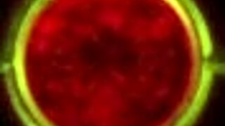 Rebecca, the cute street girl, seduces you post-party 😘