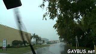 i love dilettante homosexual sex