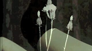 vintage bisexual threesome in antique setting