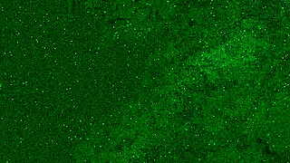 i peed in my jeans and got a golden shower all over my face and mouth