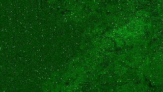 i peed in my jeans and got a golden shower all over my face and mouth