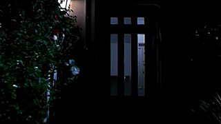 silent screamplay 2 has this sexy blonde undressing in a nude bath scene