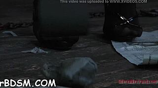 Sadomasochism Extraordinary