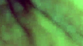 Casey Calvert licks Gina Valentina's pussy in a threesome