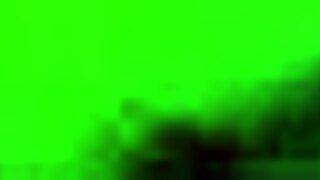 Client Pounds Chinese Hooker Hard in Raw Missionary Action