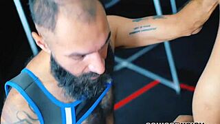 Inked wolf assfucks a mature otter in missionary