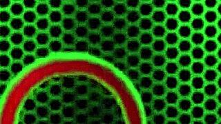 penthouse pet jelena jensen tied up, banged by samantha ryan