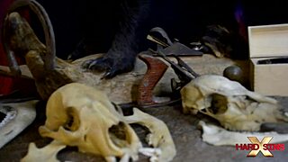 Hollywood bill is being bonked by tessy wild