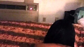 Slow back stroking in hotel quickie