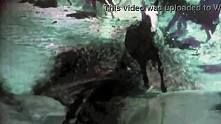 vintage taboo pussy gets slammed doggystyle over bent ass