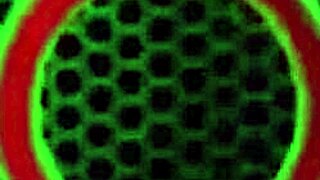 casual-narrative: busty vicky vette gets off with dildo and anal plug