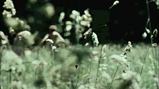 exploring vintage dragonfly in antique settings