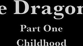 exploring vintage dragonfly in antique settings