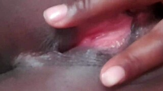 Exploring English Language Basics