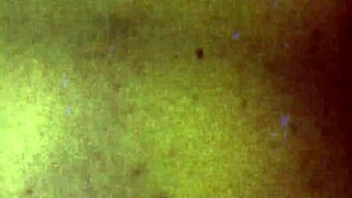 Black trans women participate in ry scene