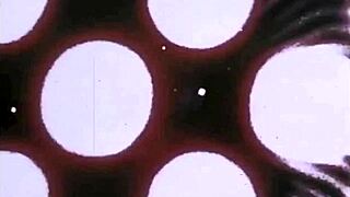 horny housewife hilary, got a medieval fantasy for me?