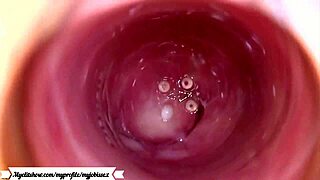 Camera Captures Inside the Vagina for Unique View