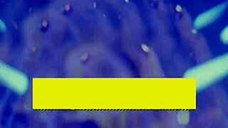 wow, danny d shares his huge cock with phoenix marie and amber jayne for wild fun! 🔥