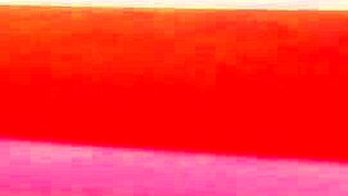 Hunks Suck And Fuck Bareback Cocks.