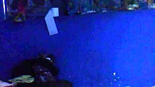 my husband got drunk and fucked the neighbor