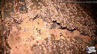 Novinha masturbates to squirting orgasm on the beach with big ass.