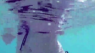 Public Exhibitionist German Teen VeronikaVonk Flashes Big Boobs by the Sea