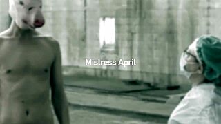 I fuck my ass with stimulator