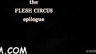 Free BDSM clips with tight and naked scenes of blow jobs and fucking