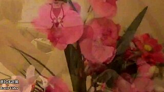 I’m so mad, jerking off to bus company stress