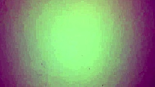 The Colombian MILF spreads her huge ass, offering a delicious blowjob with natural tits.