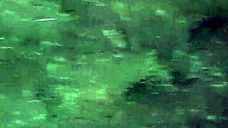 First I invited my neighbor to admire the flowers, then I fucked her mouth