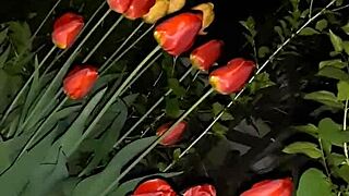 First I invited my neighbor to admire the flowers, then I fucked her mouth