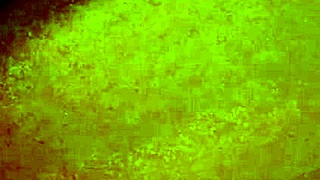 सैक्सी सौतेली मां घर की बेड पर सौतेले बेटे को चुचे गांड सेन्सुअली सहलाती