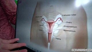 hey stepmom, can i explore female anatomy with you today?