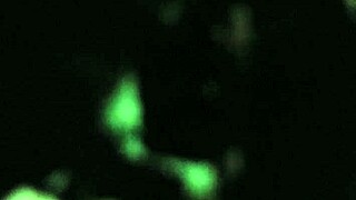 Strawberry says, 'My little steppa, let's do this blowjob'