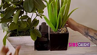 I Caught My Stepsis With My Stepmoms Dildo