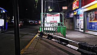 transsexual whore flashing miniskirt in public exhibition 😏