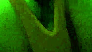 Travesti cachonda seeks passionate encounters